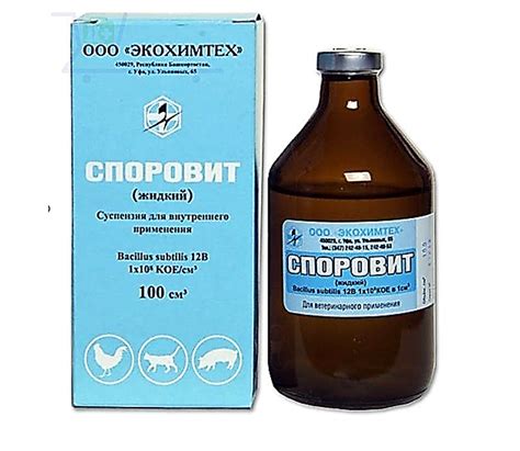 Использование энзимов и пробиотиков для смягчения проблемы газообразования