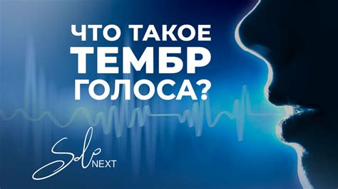 Используйте приятный и мягкий тембр голоса