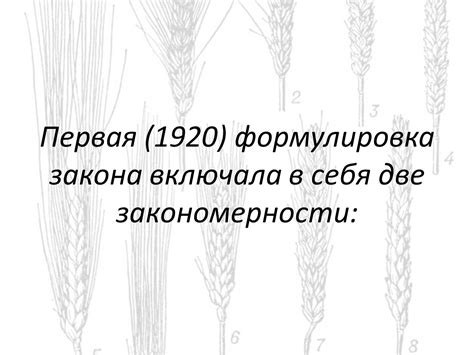 Исследование гомологических рядов