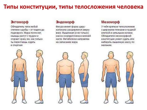 Исследование законодательства о ограничении размеров тела в Японии