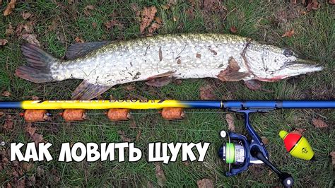 Исследование зоны рыбалки