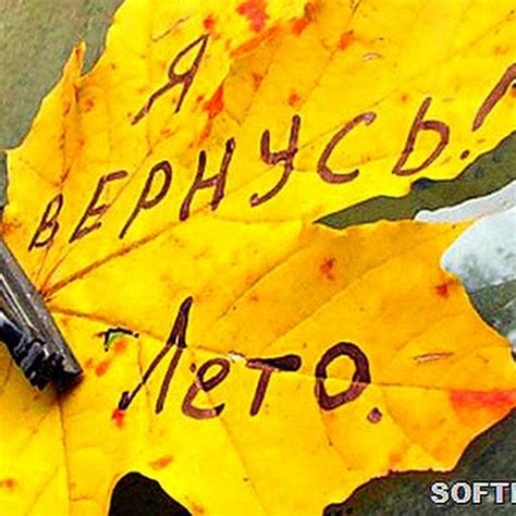 Исследования и мифы о бабьем лете