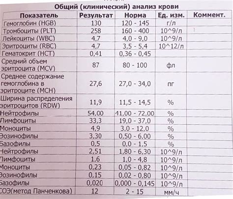 Исследования и результаты: роль цикория в борьбе с повышенным уровнем глюкозы в крови