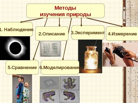 Исследования о влиянии изменчивости материала на эволюцию в биологии