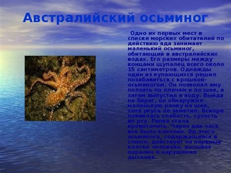 Истоки появления карминных обитателей в темных водах этого акватория