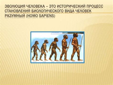 Исторический обзор: происхождение и эволюция наречий