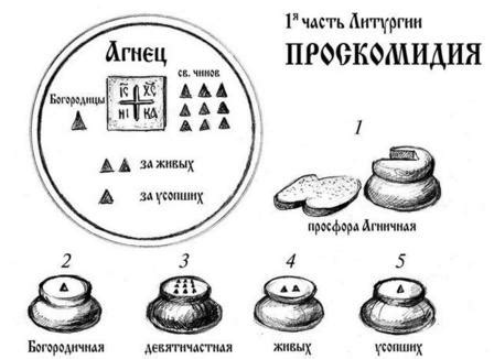 История возникновения и символическое значение тульпы