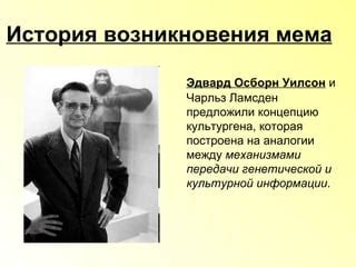 История возникновения мема "А мы тут"