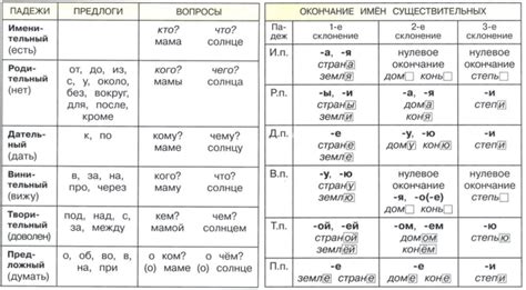 История изучения форм и функций родовых падежей русского языка