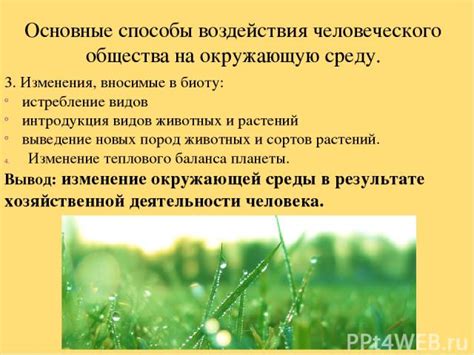 История открытия воздействия насекомых на изменение теплового режима человеческого тела