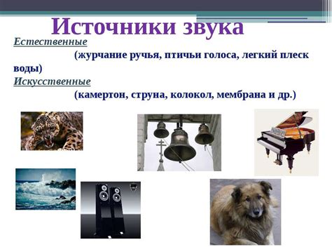 Источники звука и их особенности