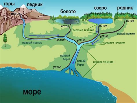 Источники и начало пути реки Припять