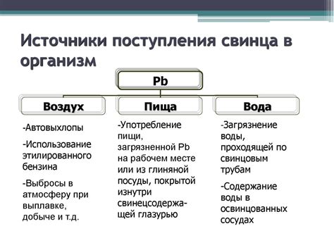 Источники поступления в организм