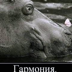 Ищем подходящие кусочки LEGO