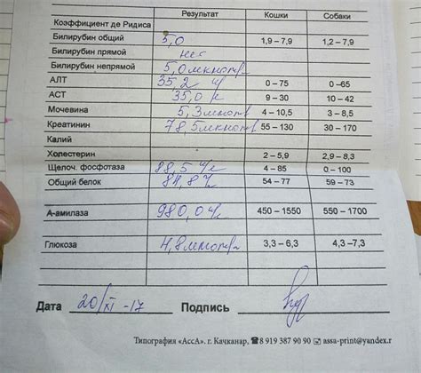 Какие анализы нужно сдать