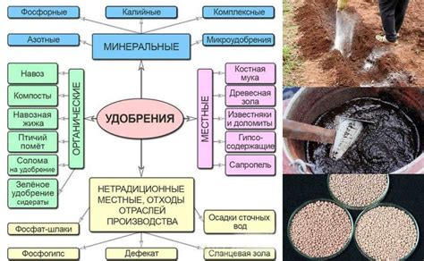 Какие виды удобрений лучше всего подходят для цветов