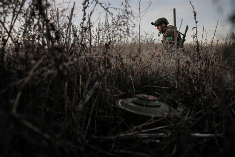 Какие вузы подходят для карьеры в офицерском составе