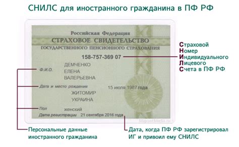 Какие документы нужны для получения СНИЛС и ИНН: полный список