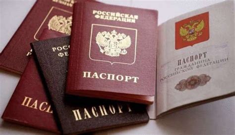 Какие документы хранить в кошельке