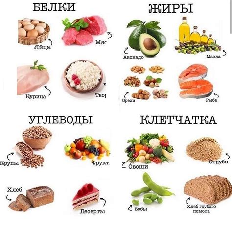 Какие продукты предпочитает лемминг