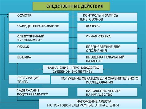 Какие следственные действия предпринимаются