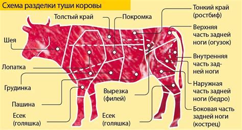Какие части филе подлежат измельчению