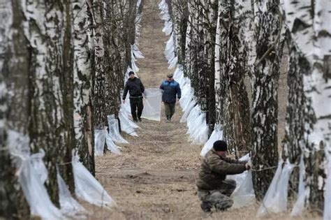 Какие штрафы предусмотрены при нарушении правил