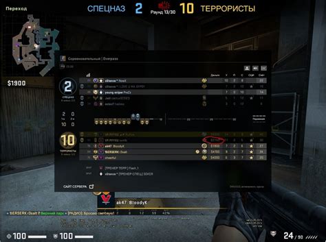 Какой урон наносит тренерский баг в CS:GO