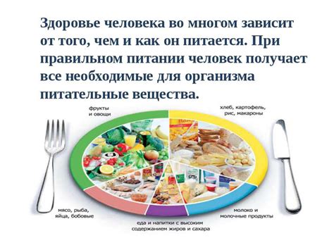 Как биология влияет на питание