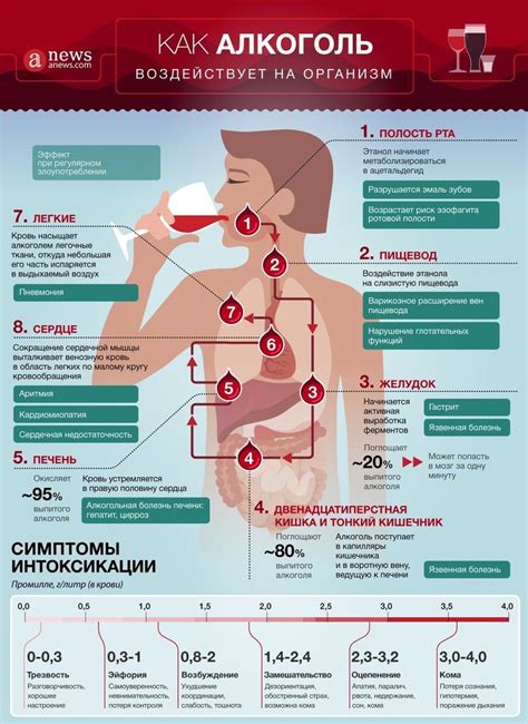Как воздействует Димедрол на организм: основные эффекты и последствия