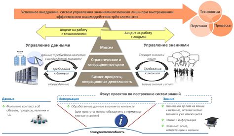 Как данные и информация используются в реальной жизни