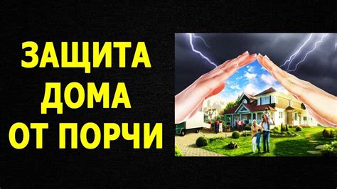 Как защитить свой дом от нежелательных посетителей: действия по противодействию мышам
