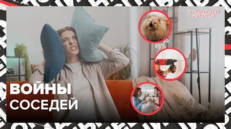 Как избежать конфликтов с соседями из-за питомца