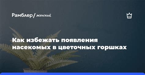 Как избежать появления водянки