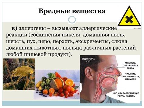 Как избежать проблем с глохновением калины