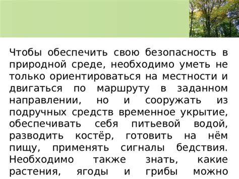 Как использовать цветы в природной среде для укрепления организма и поддержания здоровья