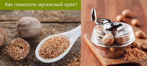 Как молоть мускатный орех