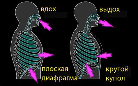 Как обеспечивается дыхание астронавтов