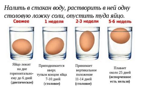 Как определить свежесть яйца