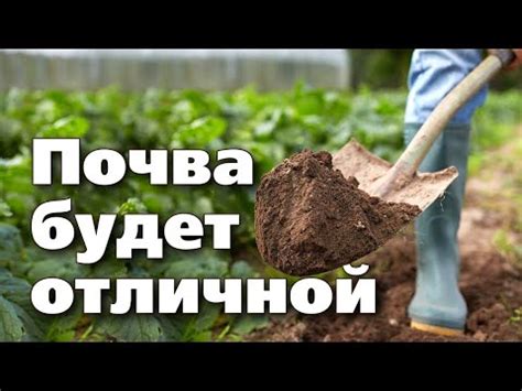 Как повысить качество почвы для алоэ