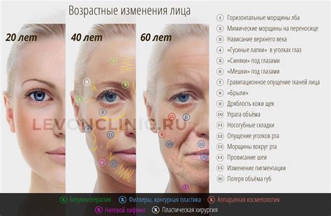 Как подбирать филлеры для овала лица: советы специалистов