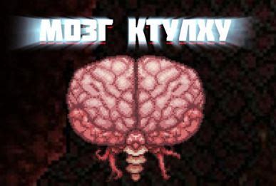 Как получить и применить итем "Мозг Ктулху" в игре Террария