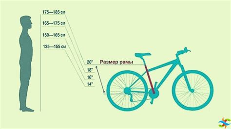 Как правильно измерить диаметр колеса