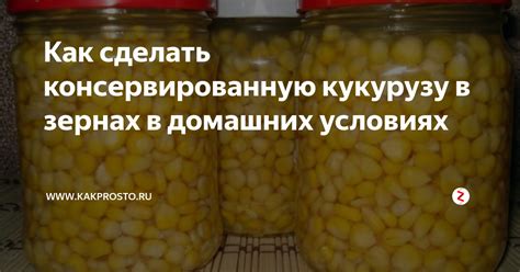 Как правильно использовать консервированную кукурузу в качестве приманки