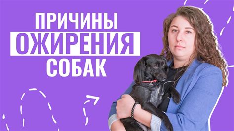Как предотвратить собаку от садки на ребенка
