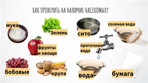 Как проверить помещение на наличие микрофона