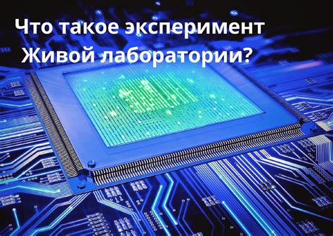 Как провести эксперимент