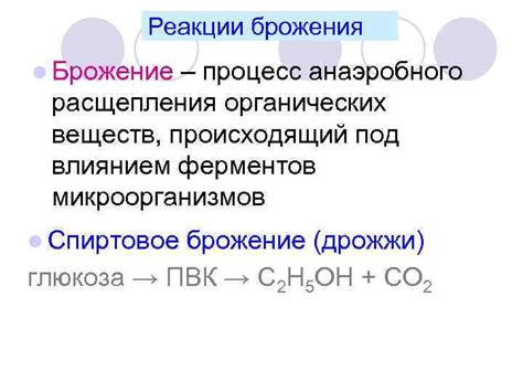 Как происходит процесс брожения
