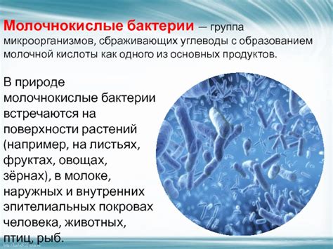Как происходит процесс скисания
