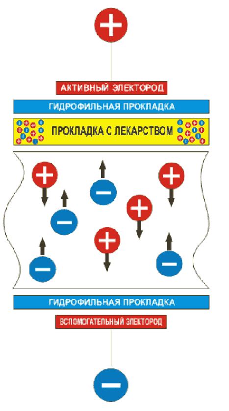 Как работает электрофорез и его воздействие на организм